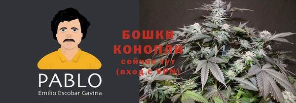 гидра Пролетарск