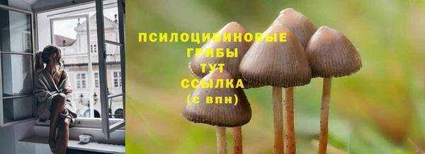 синтетический гашиш Приозерск